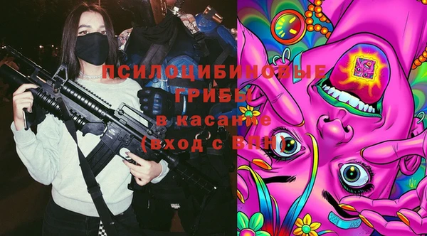 мдма Новозыбков