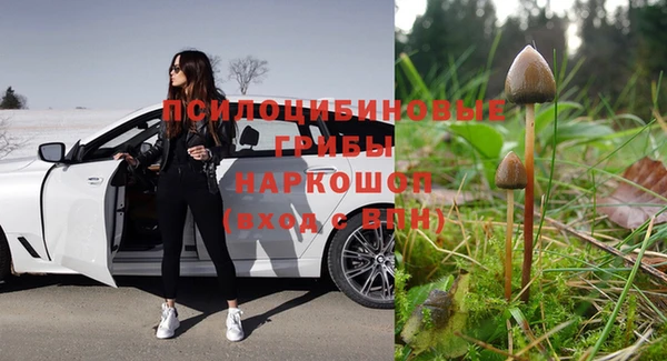 spice Новодвинск