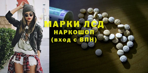 spice Новодвинск