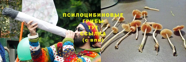 мдпв Нея