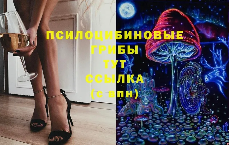 Псилоцибиновые грибы Magic Shrooms Томск