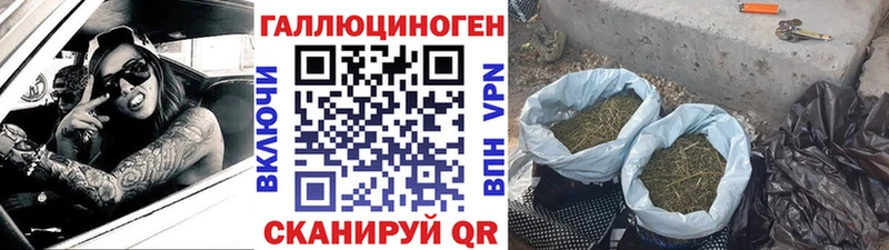 Псилоцибиновые грибы Psilocybine cubensis  гидра зеркало  Томск 