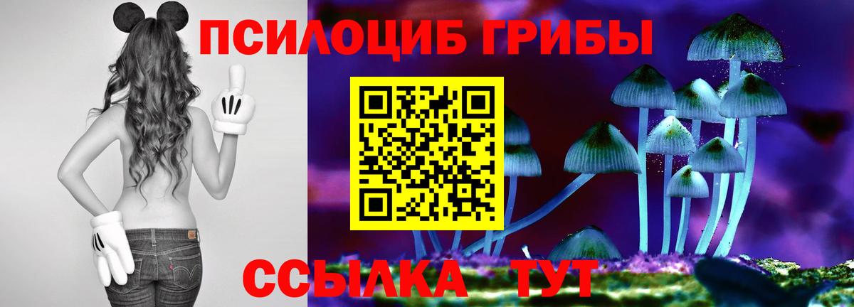 Галлюциногенные грибы Cubensis  Галлюциногенные грибы Cubensis  Вход с VPN  Томск 